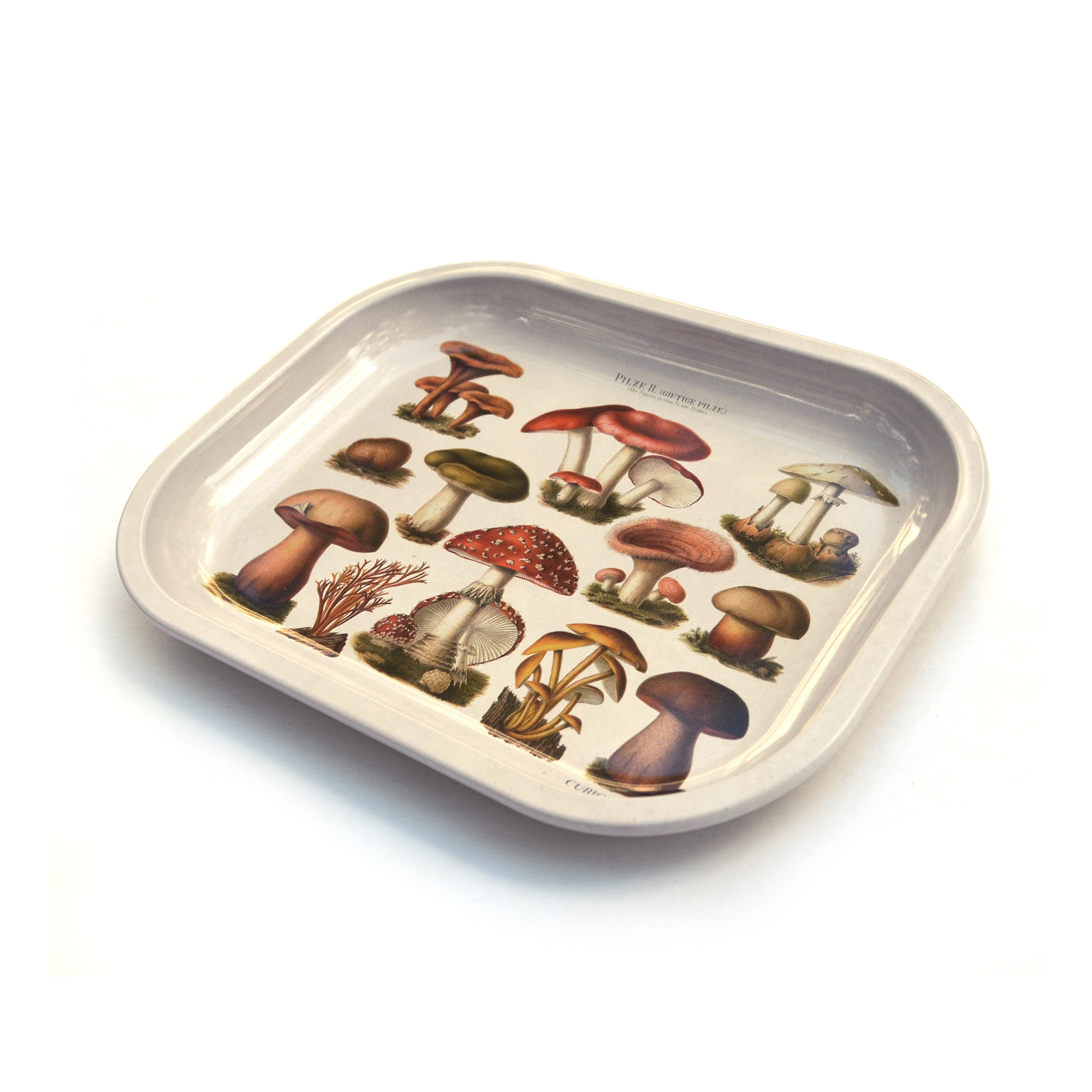Mushroom Ritual Catchall Tray - Out of the Blue