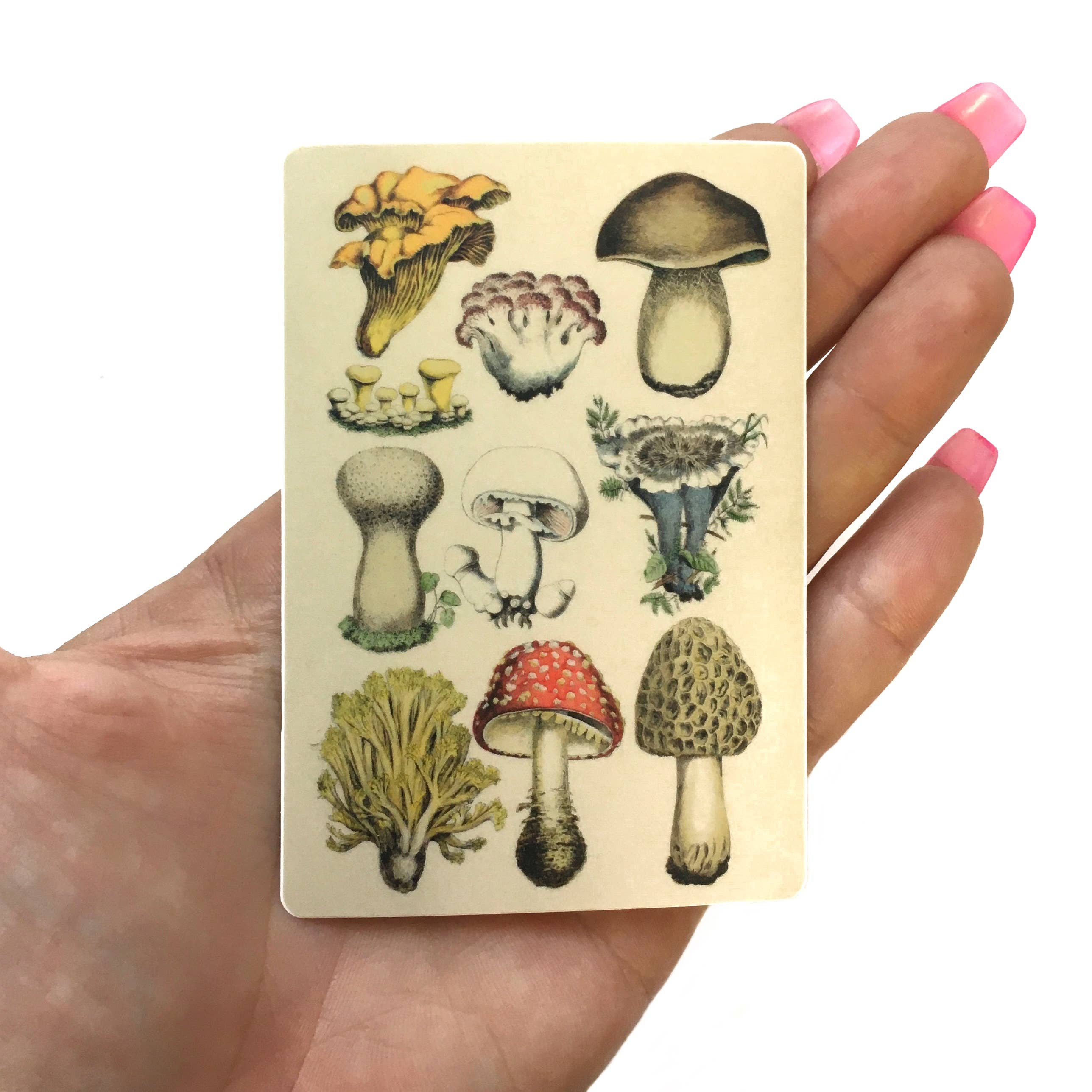 Mushrooms Sticker - Vintage Stickers