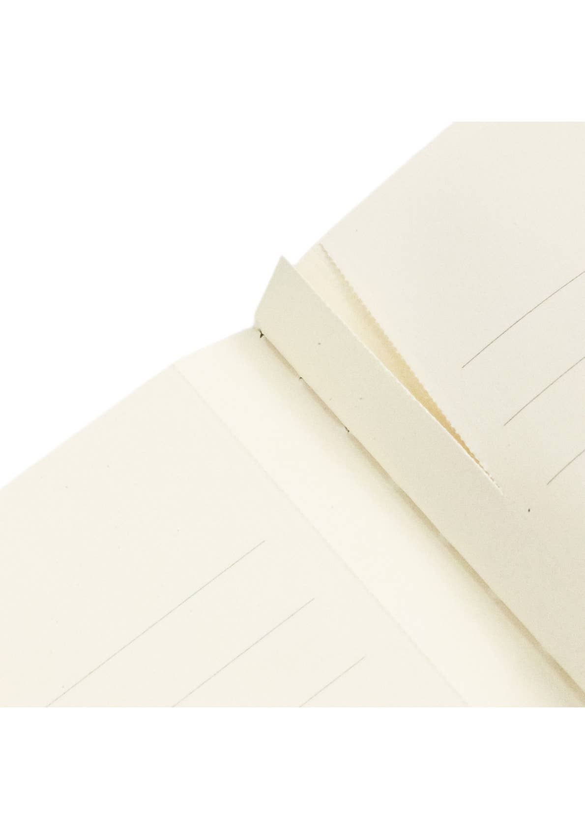 Violet Fairy A4 Unlined Softcover Cahier, 80pg, 100GSM by Paperblanks (Lang - Out of the Blue