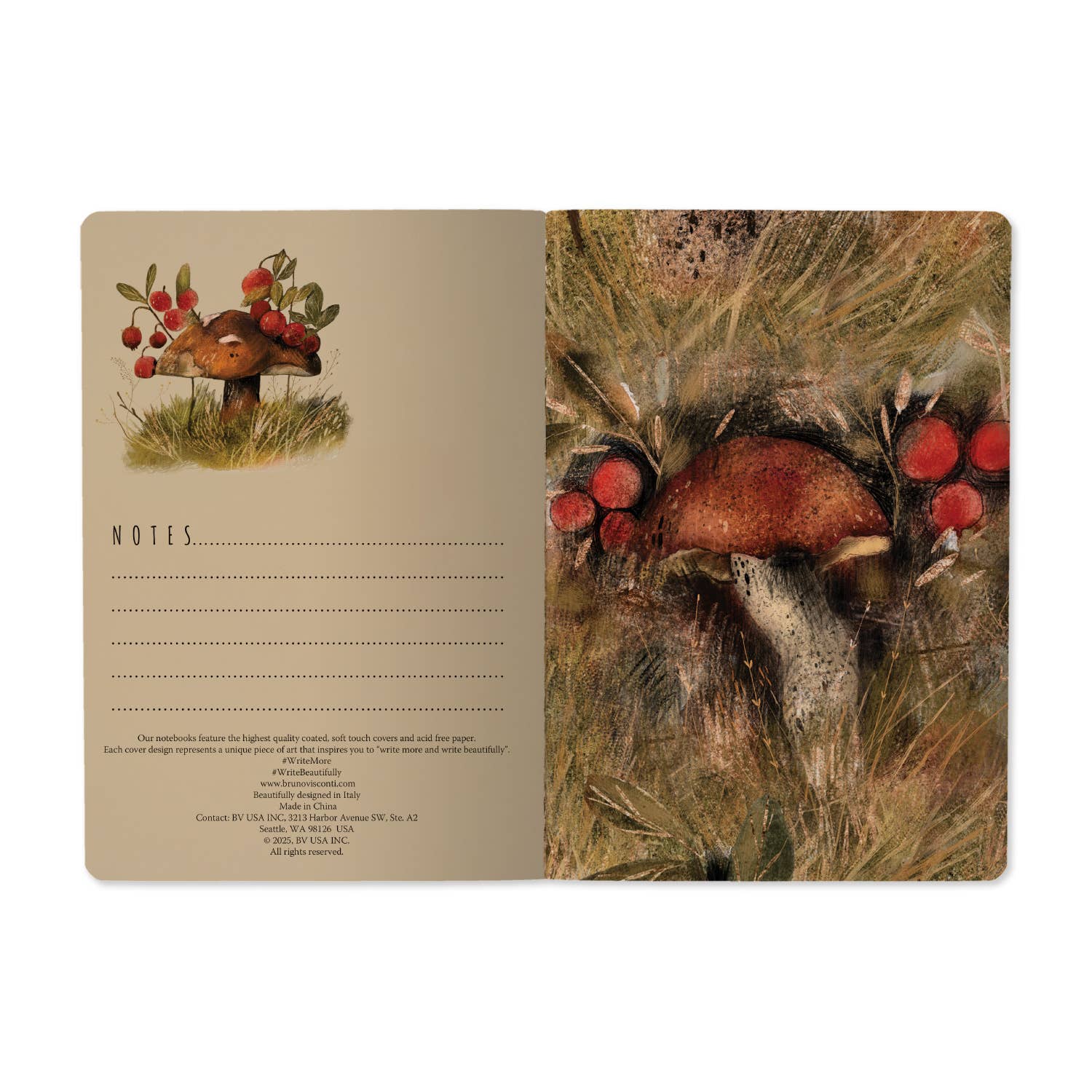 Mushroom Watercolor  - Out of the Blue