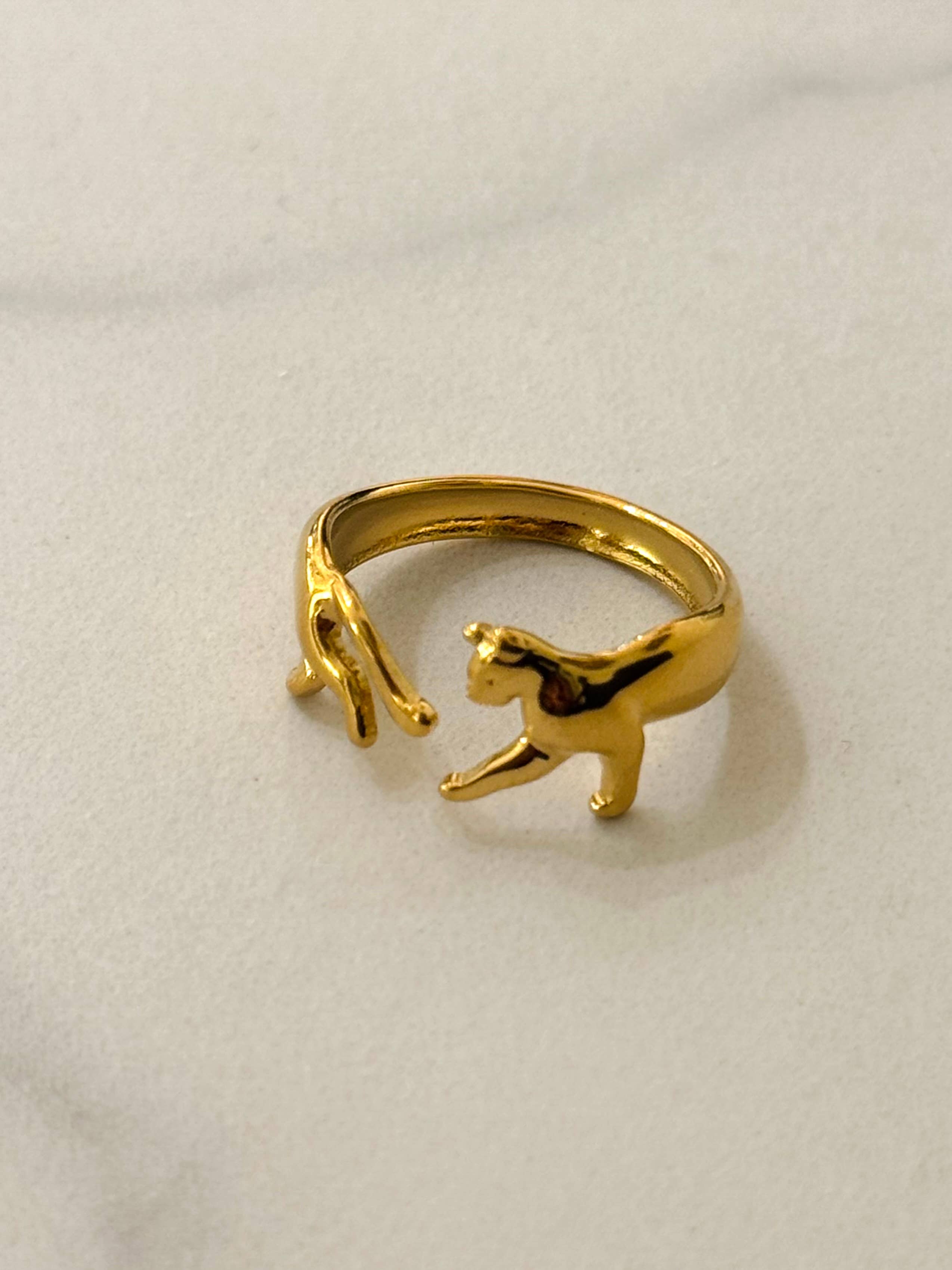 The Cat Tour Ring   - Out of the Blue