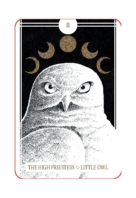 Avian Tarot