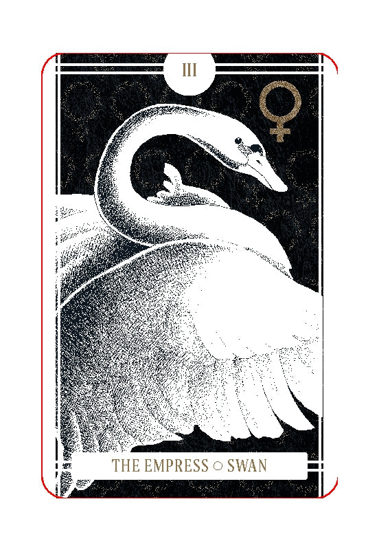 Avian Tarot