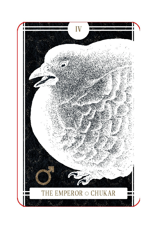 Avian Tarot