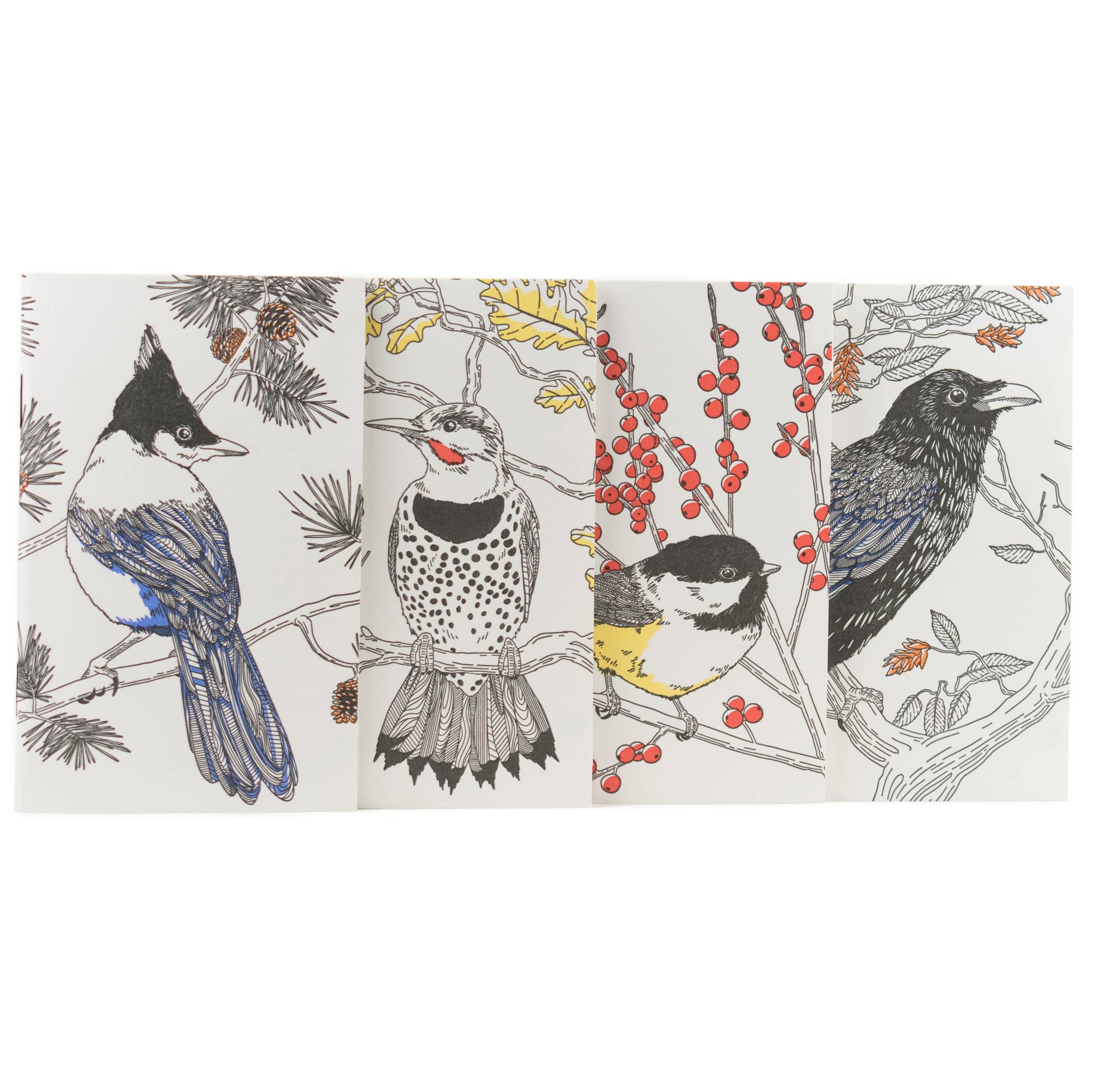 Common Raven Pocket Notebook - West Coast Birds - Out of the Blue