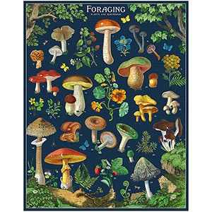 Foraging   Puzzle