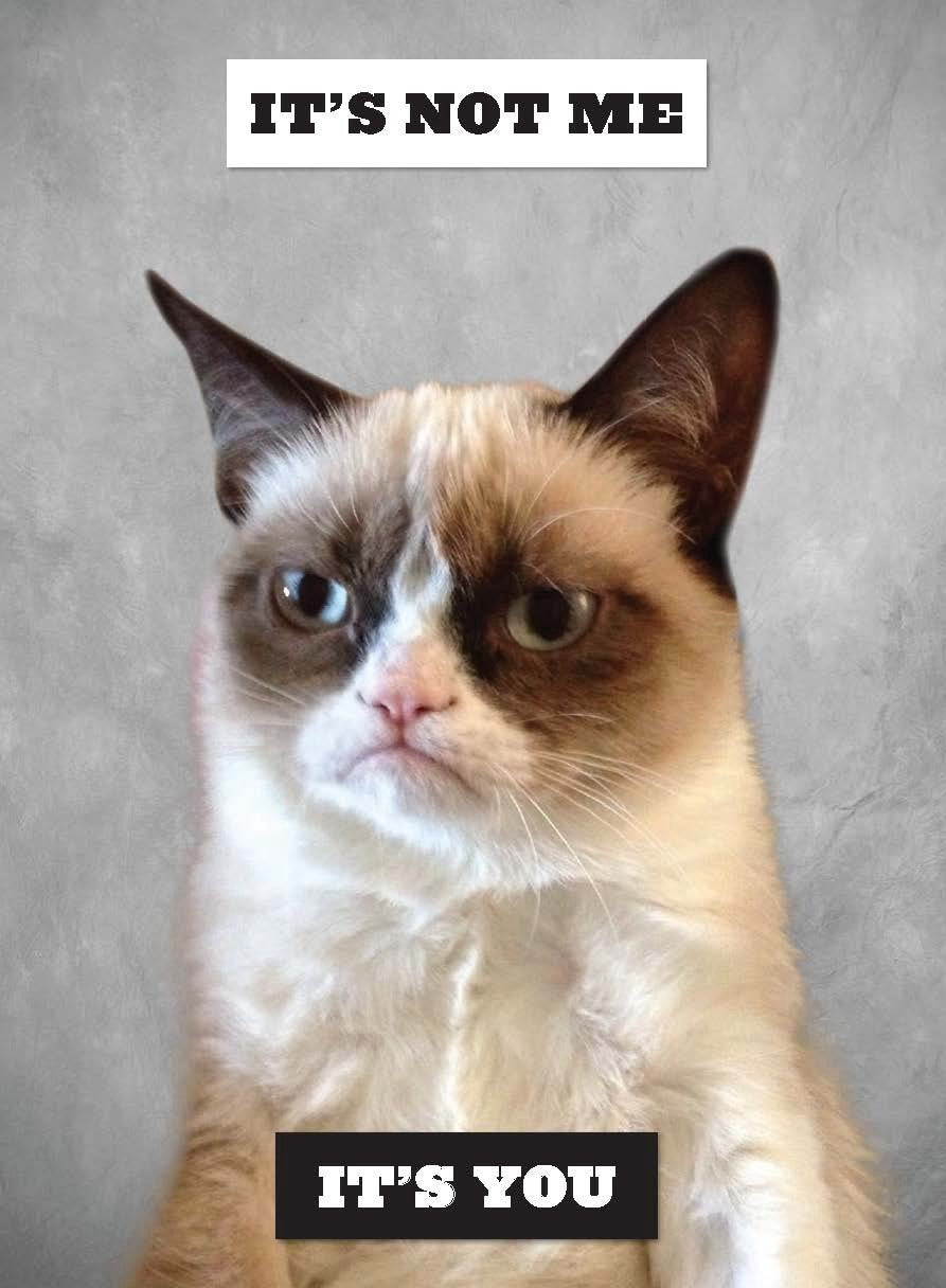 Grumpy Cat Journal - Out of the Blue