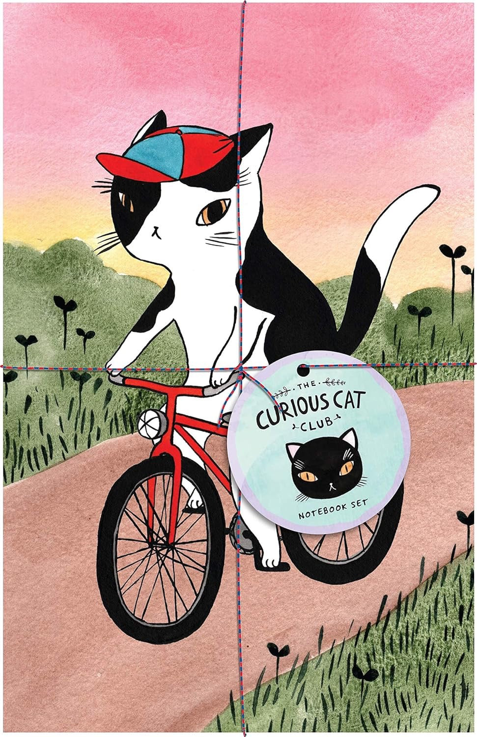 Curious Cat Club Notebook - Out of the Blue