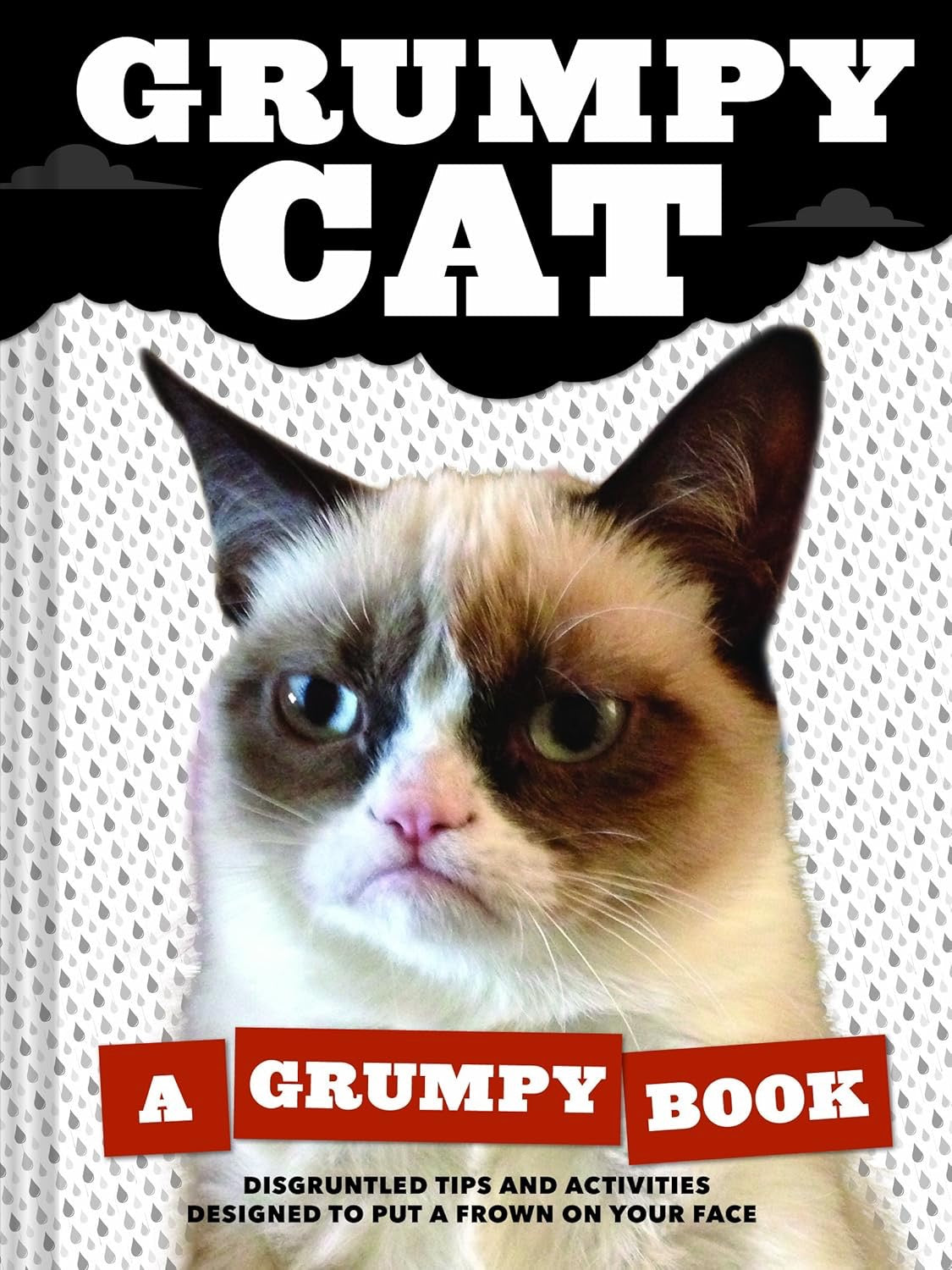 Grumpy Cat Journal - Out of the Blue