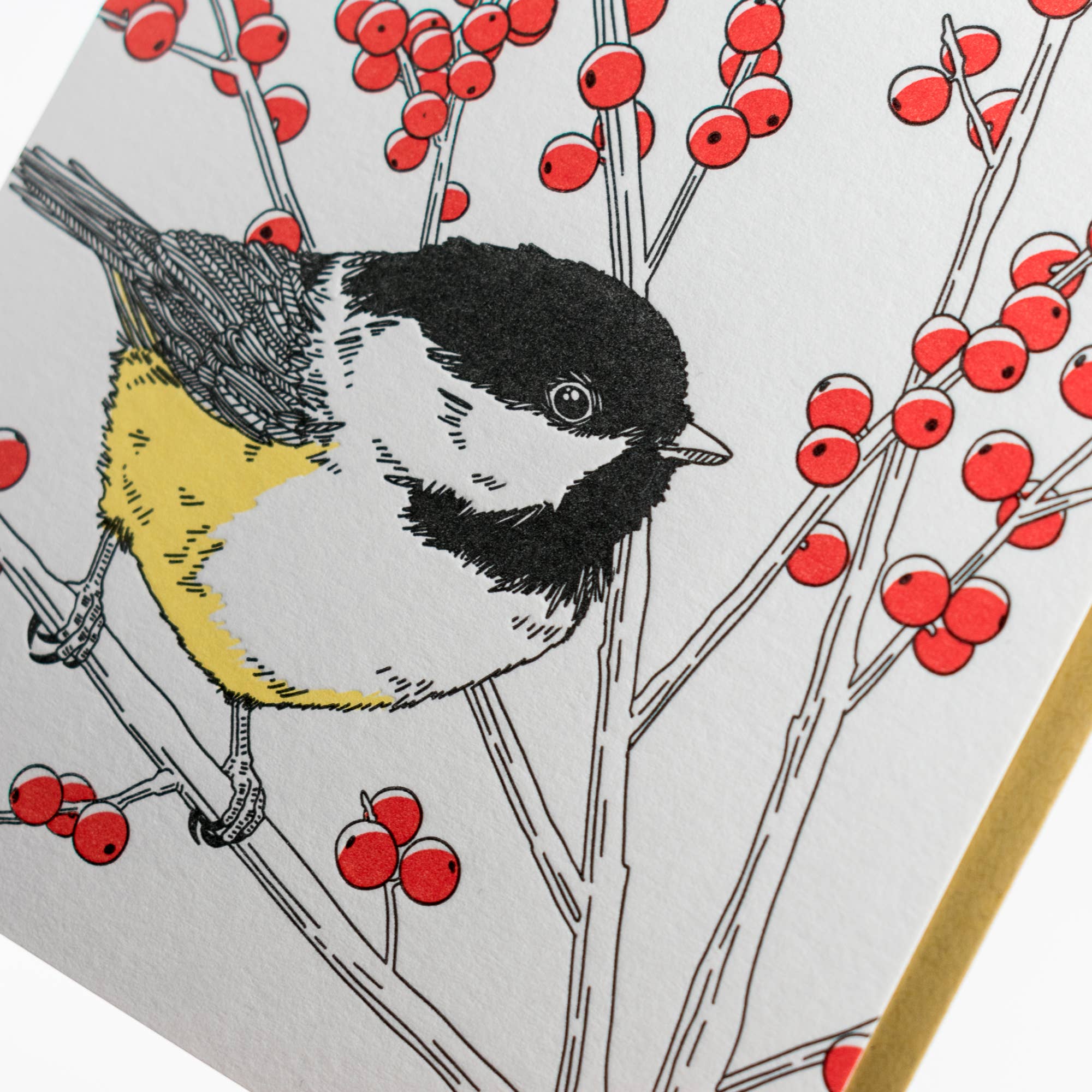 Black-capped Chickadee Card - Out of the Blue