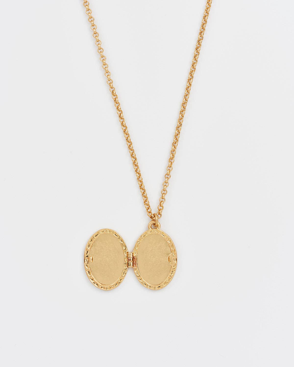 Robin & Blackberry Gold Oval Locket Chain Necklace - Out of the Blue