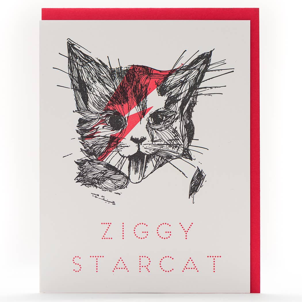 Ziggy Star Cat Card