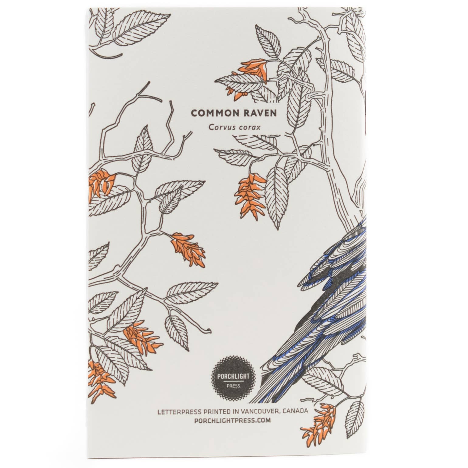 Common Raven Pocket Notebook - West Coast Birds - Out of the Blue