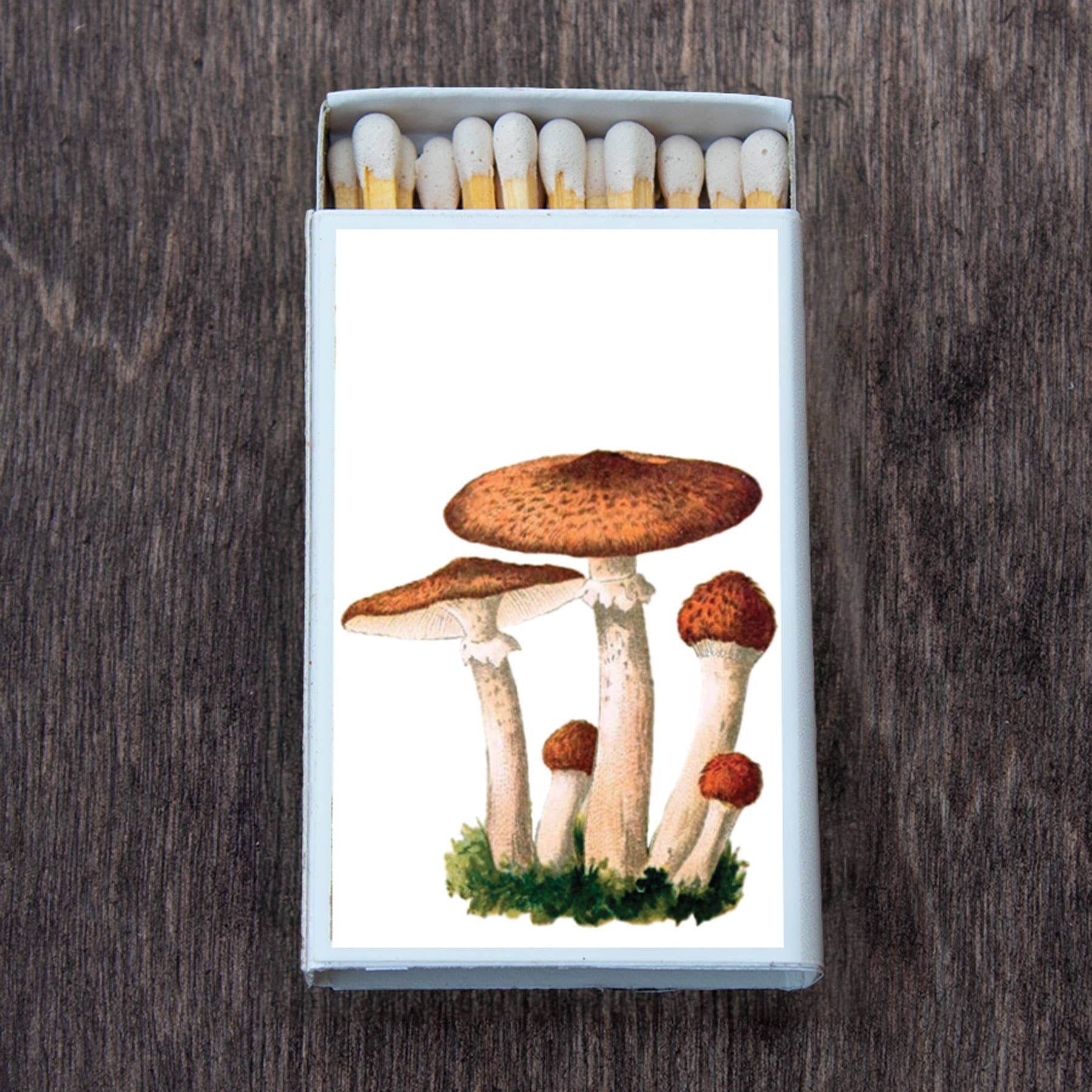 Mushroom Cluster Matchbox • Decorative Matches • Candle Acc