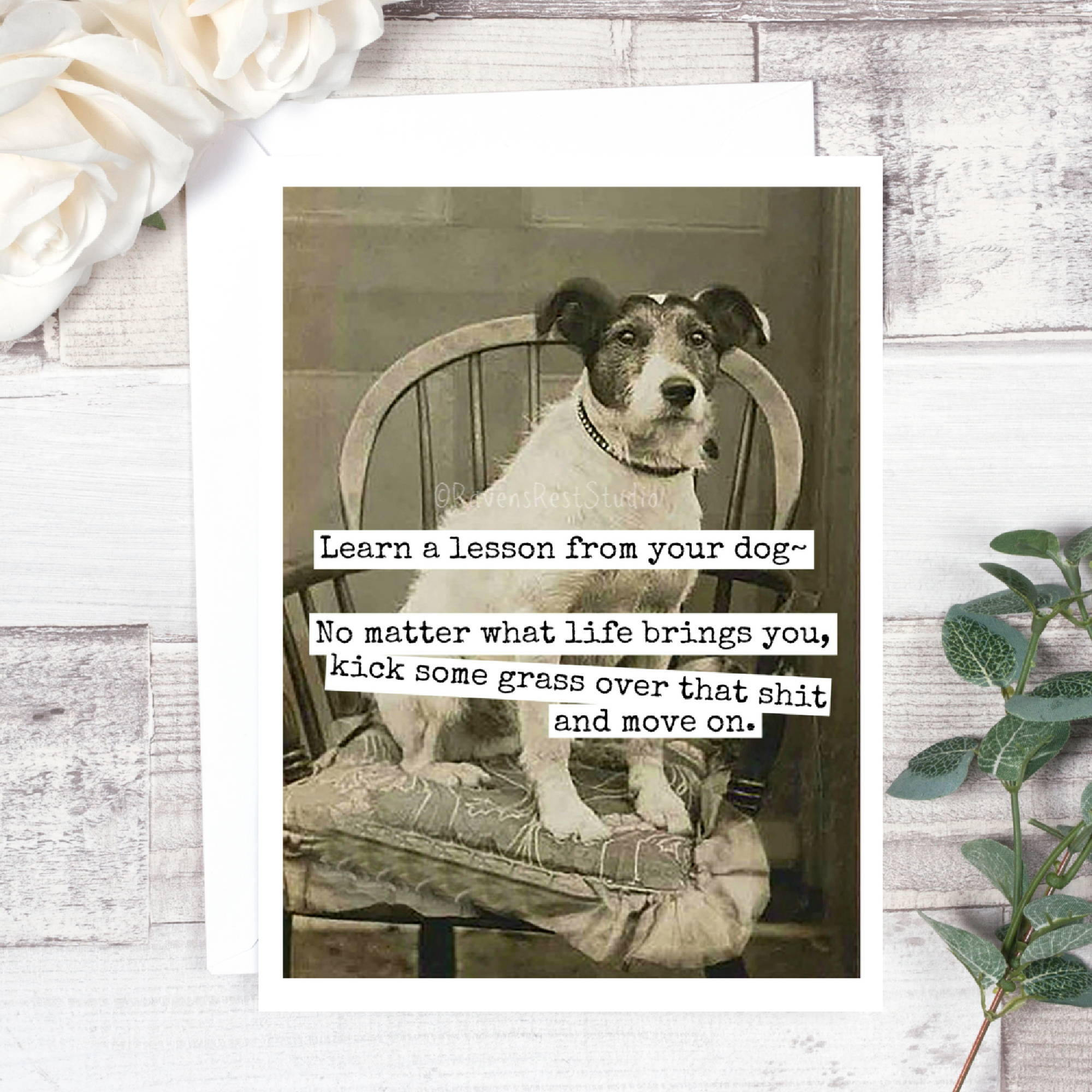 Learn A Lesson From Your Dog... - Out of the Blue