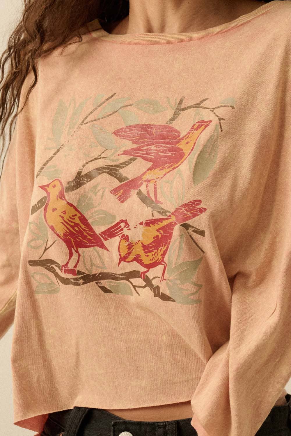 Birds Perched Cropped Vintage-Wash Graphic Tee