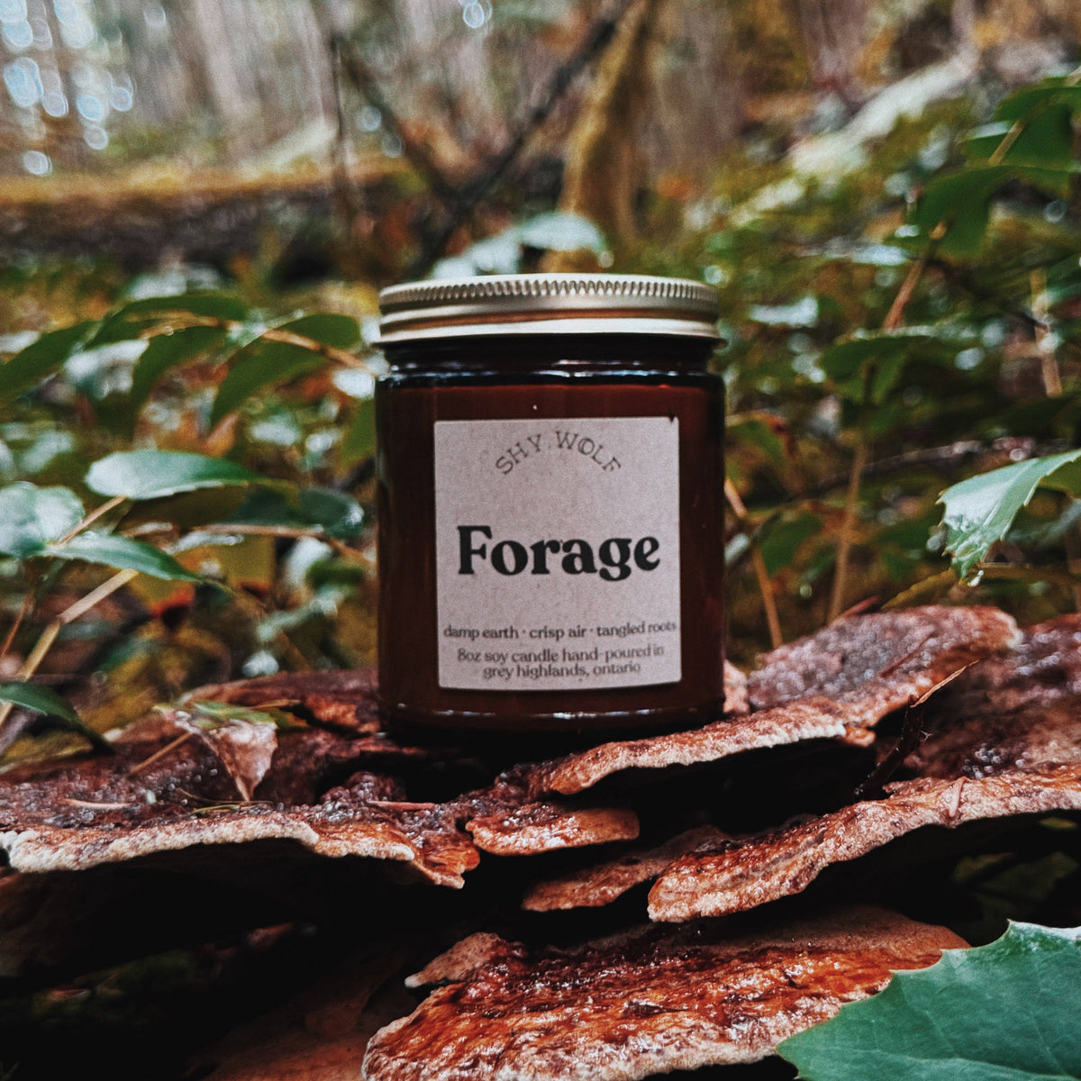 Forage - Out of the Blue