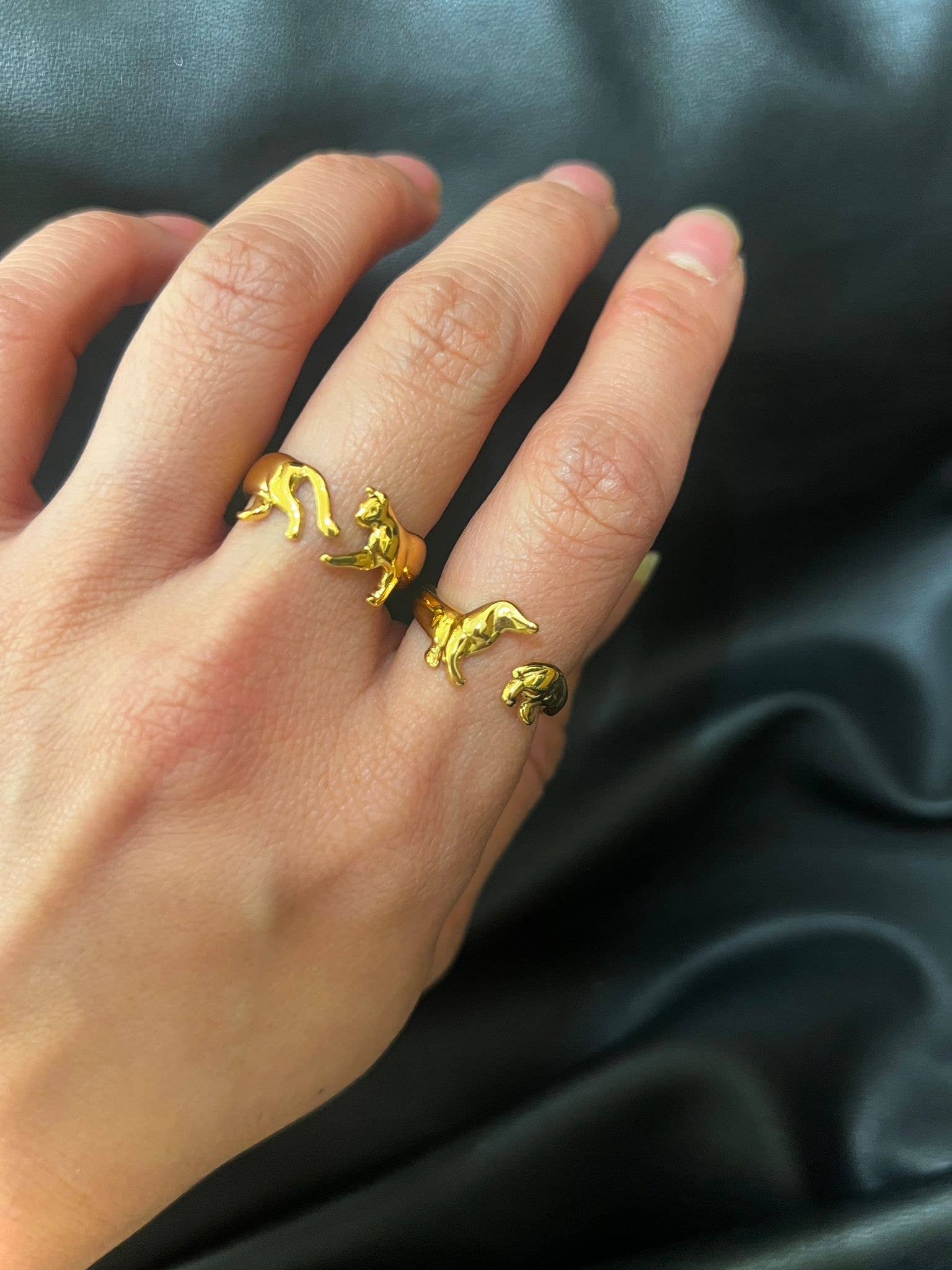 The Cat Tour Ring   - Out of the Blue