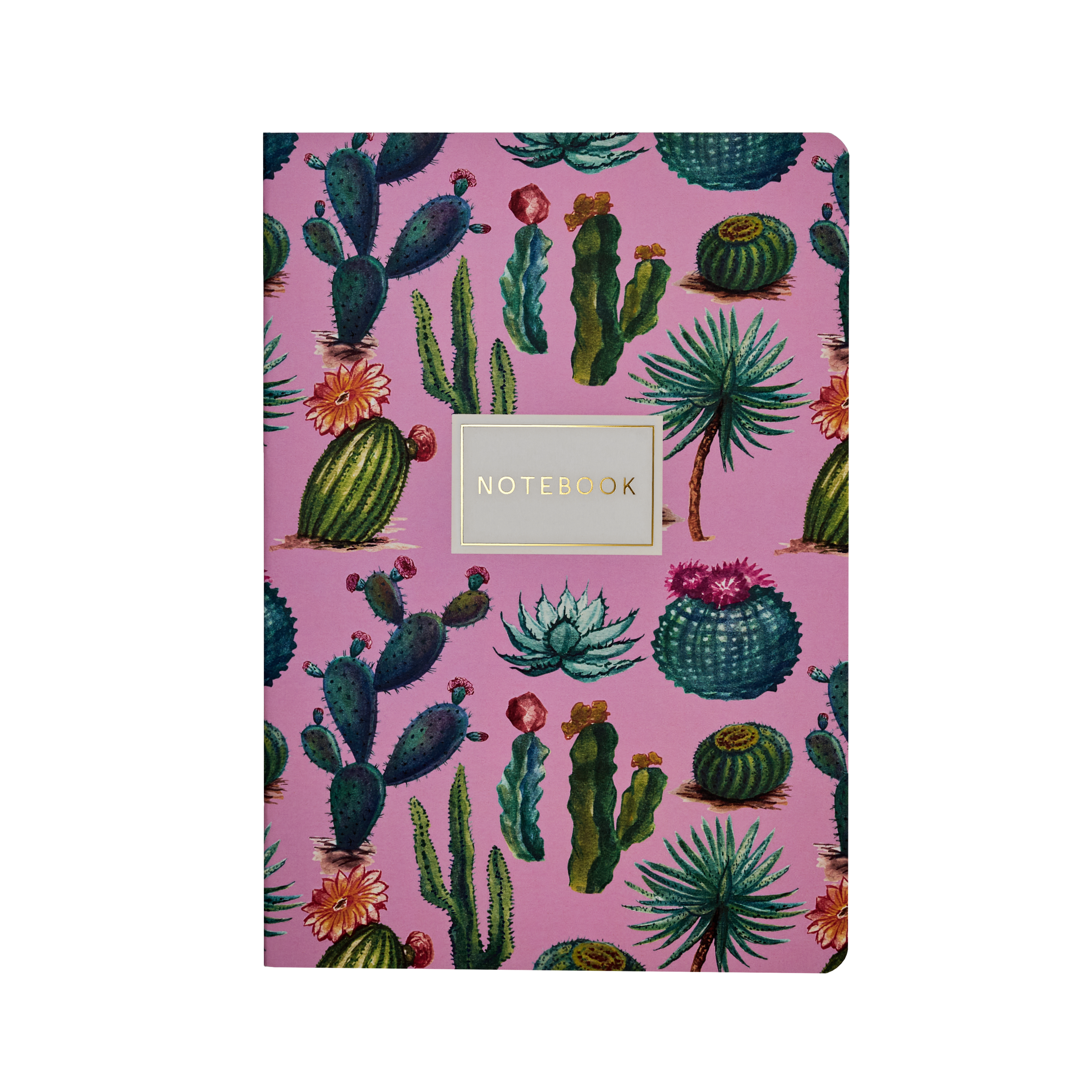 Cactus  on Rose Notebook - Out of the Blue
