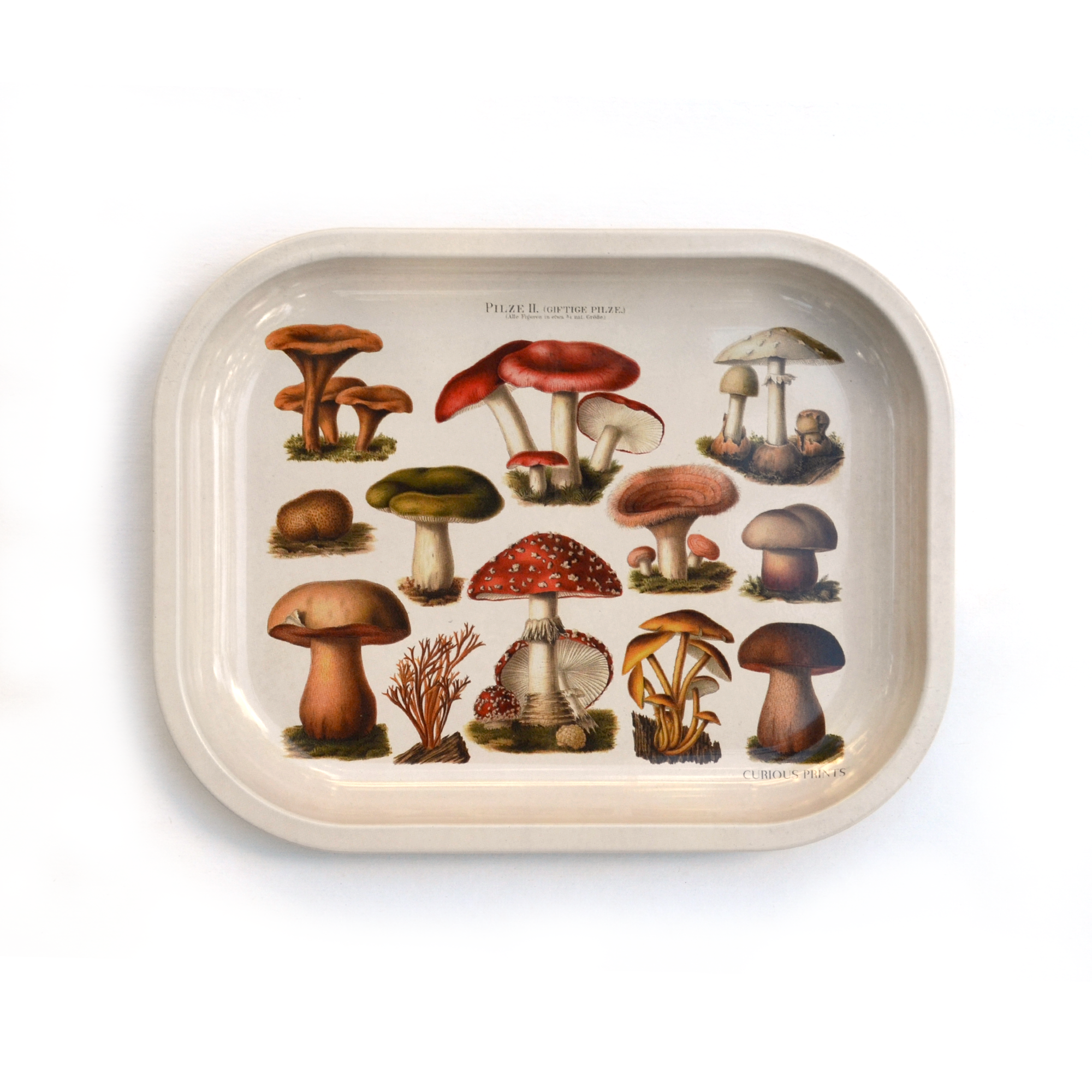 Mushroom Ritual Catchall Tray - Out of the Blue