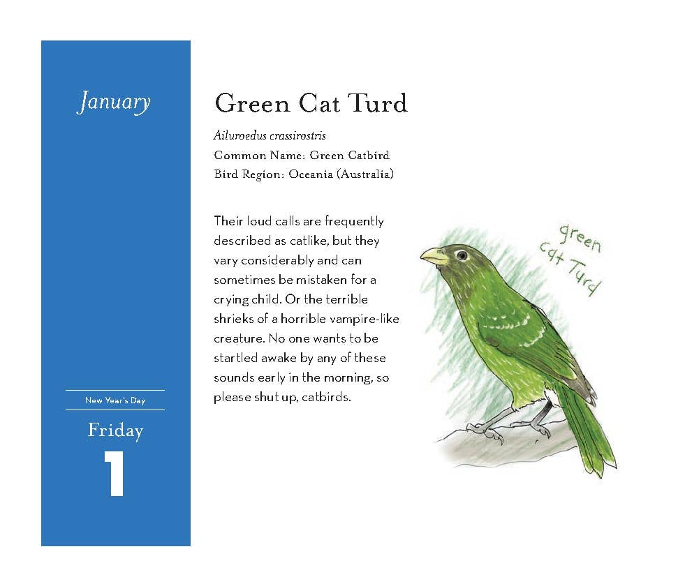 Field Guide to Dumb Birds 2027 Daily Calendar