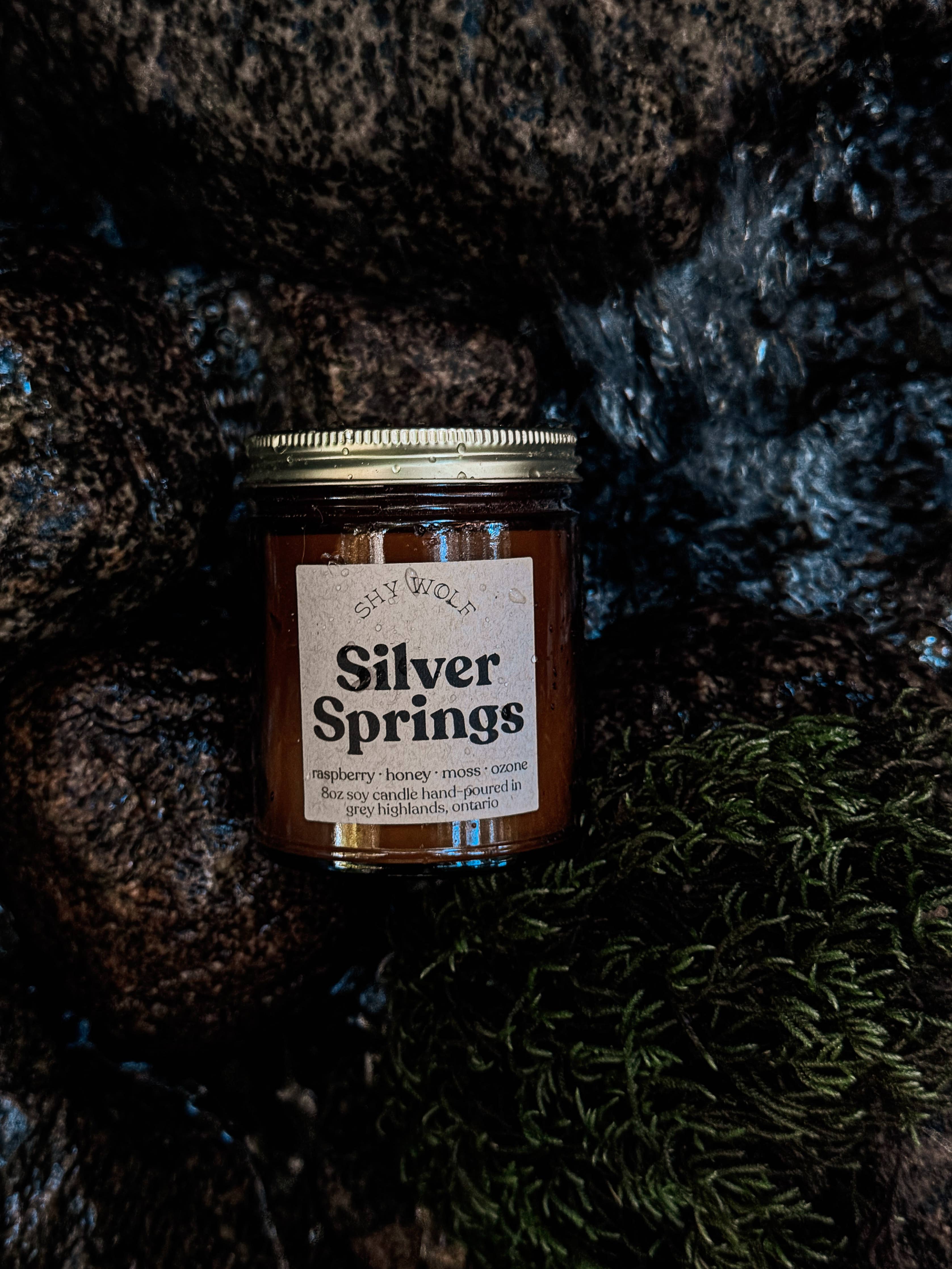 Silver Springs