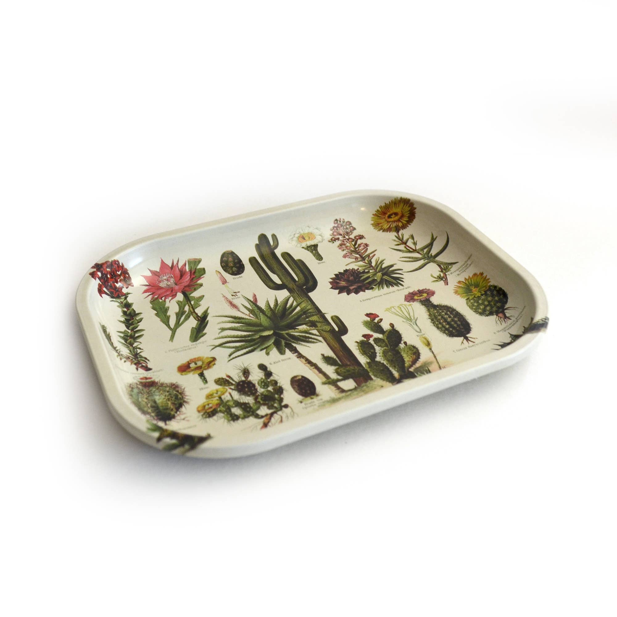 Vintage Cacti Dish