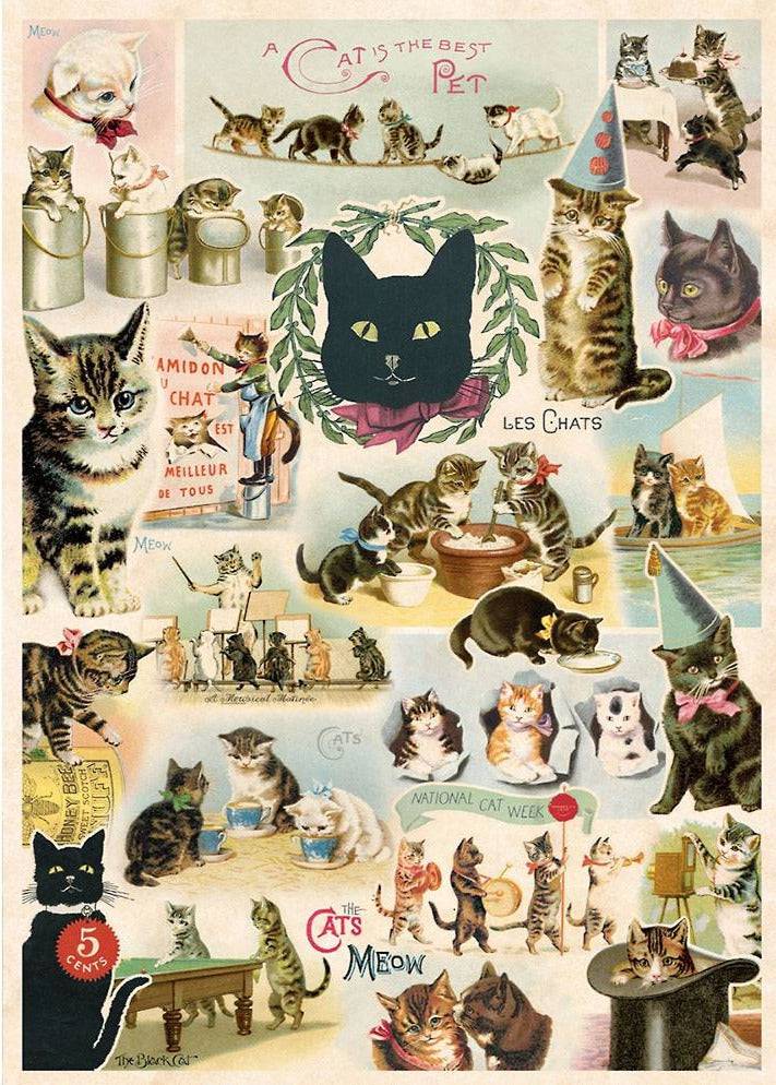 CAT COLLAGE GIFT WRAP - Out of the Blue