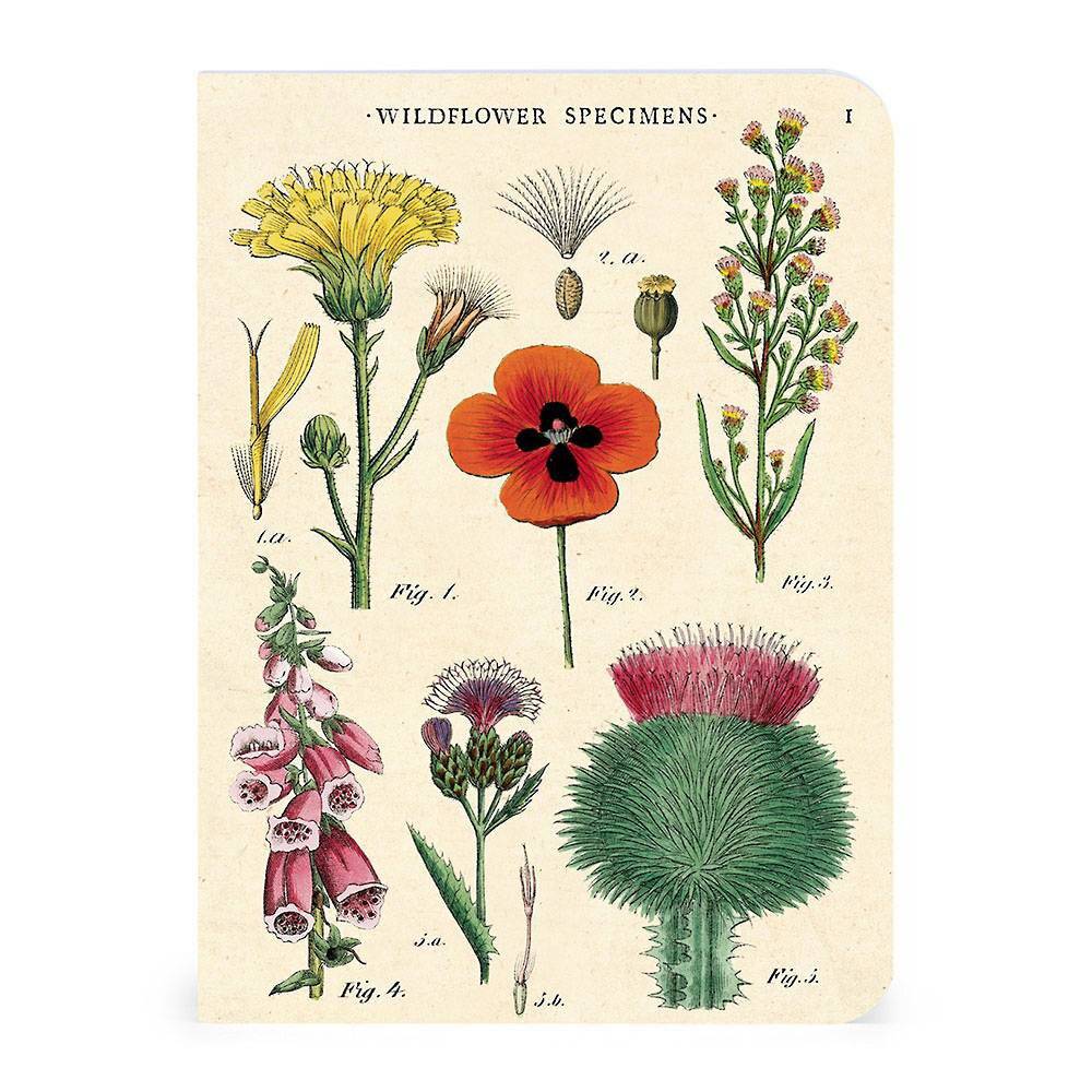 WILDFLOWERS MINI NOTEBOOK 3-PACK - Out of the Blue