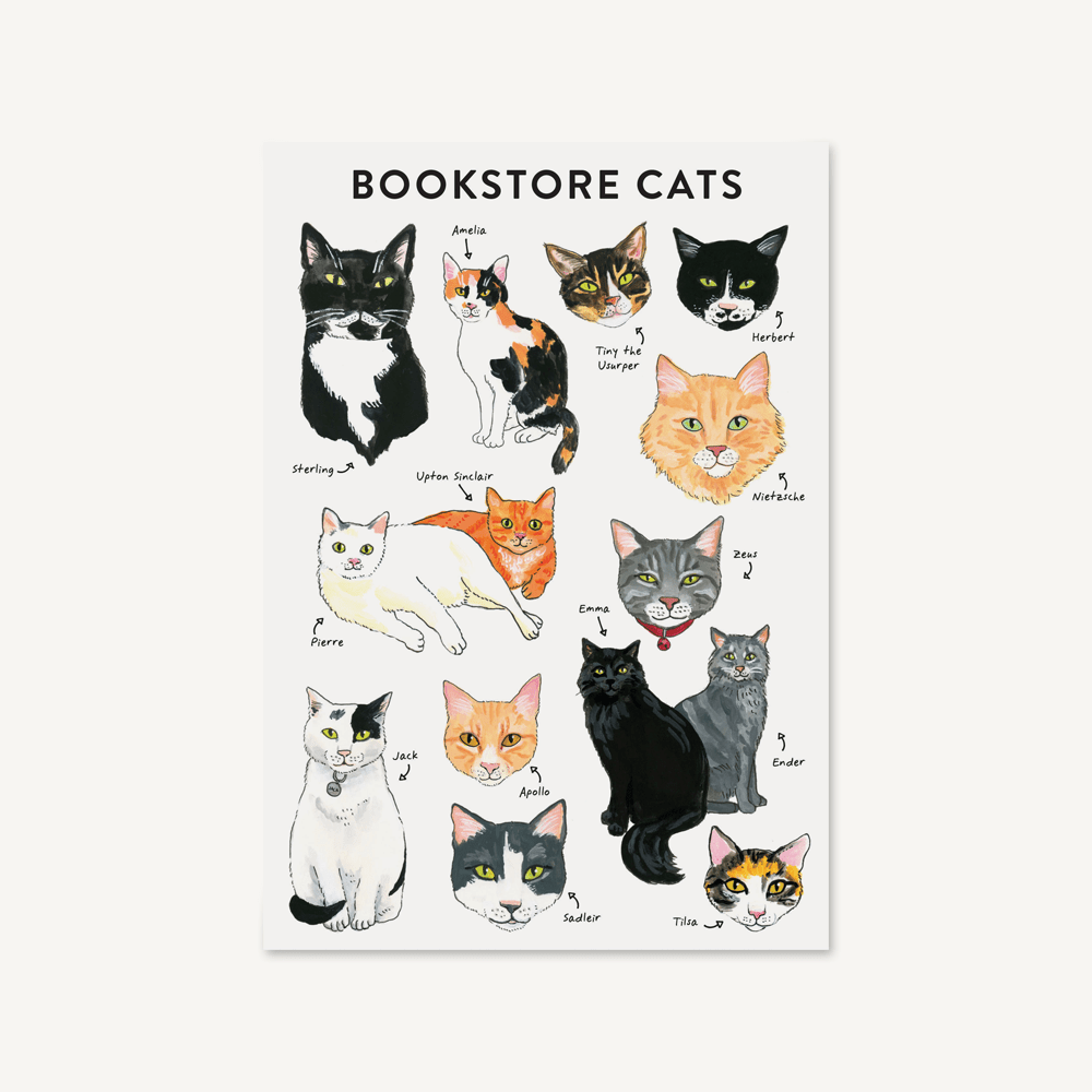 BIBLIOPHILE FLEXI JOURNAL: BOOKSTORE CATS - Out of the Blue