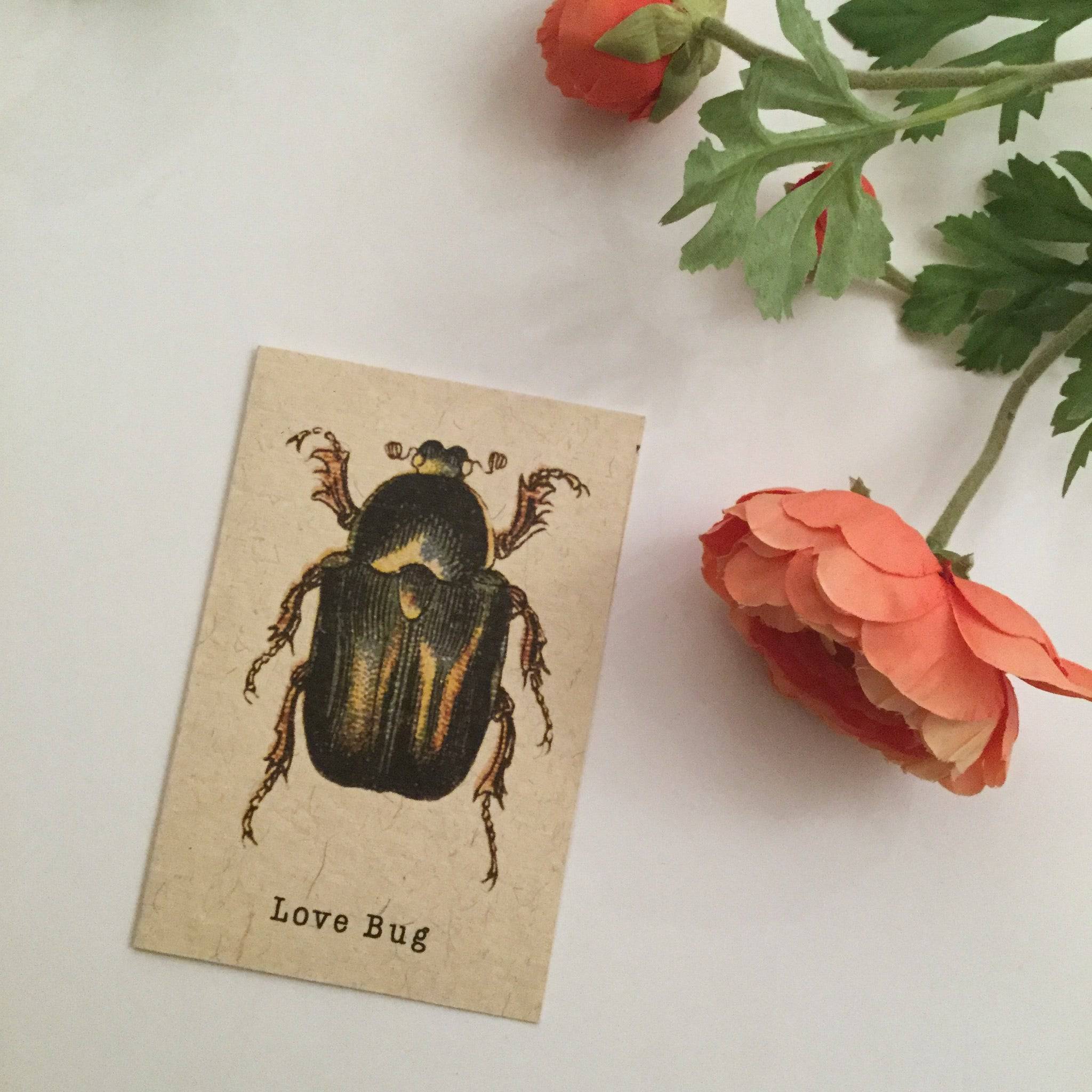 LOVE BUG CARDS - Out of the Blue