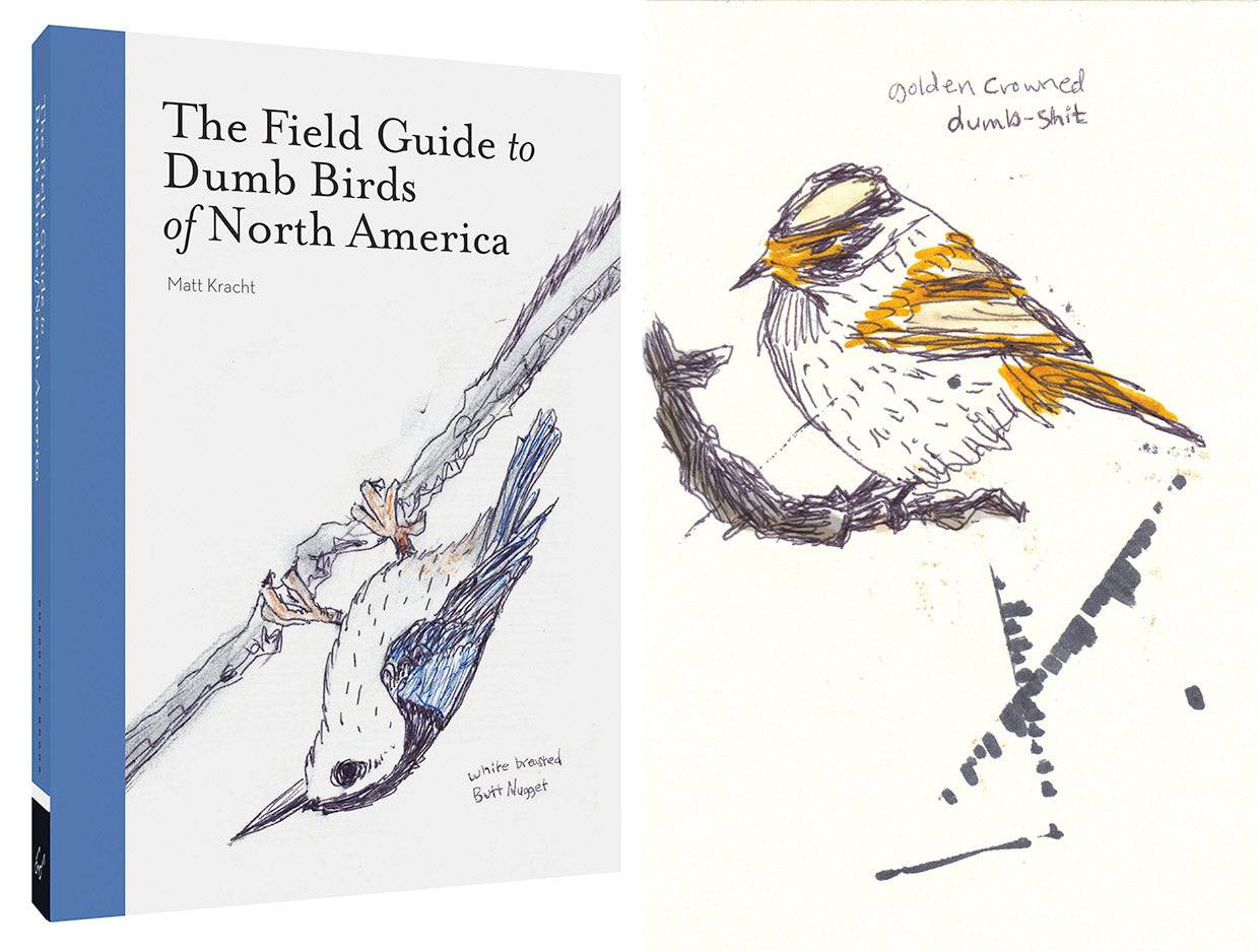 THE FIELD GUIDE TO DUMB BIRDS - Out of the Blue