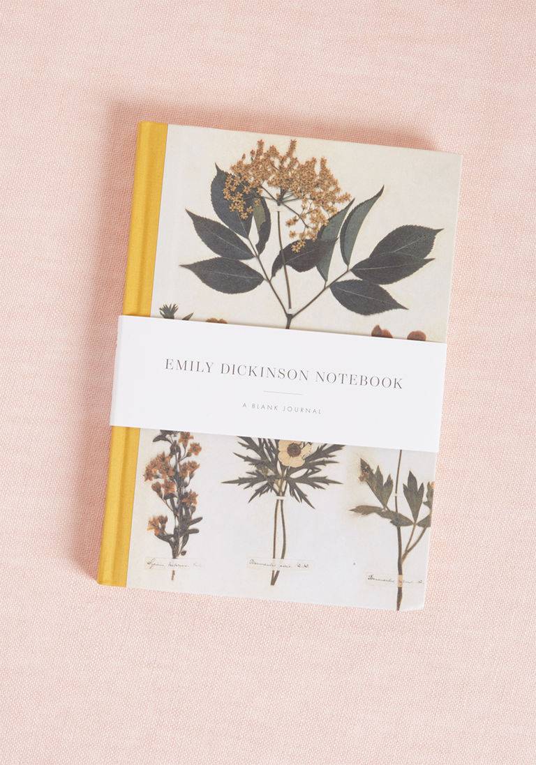 EMILY DICKINSON NOTEBOOK - Out of the Blue