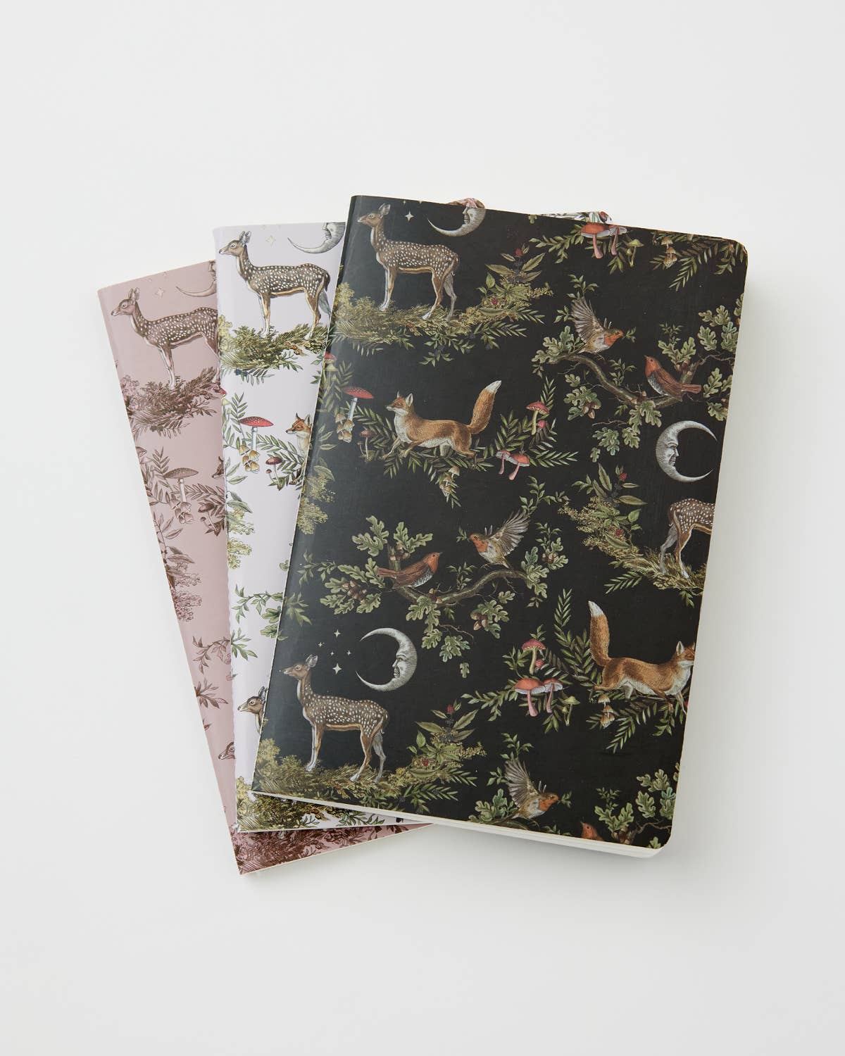 FABLE A Nights Tale Notebook - Pack of 3 - Out of the Blue