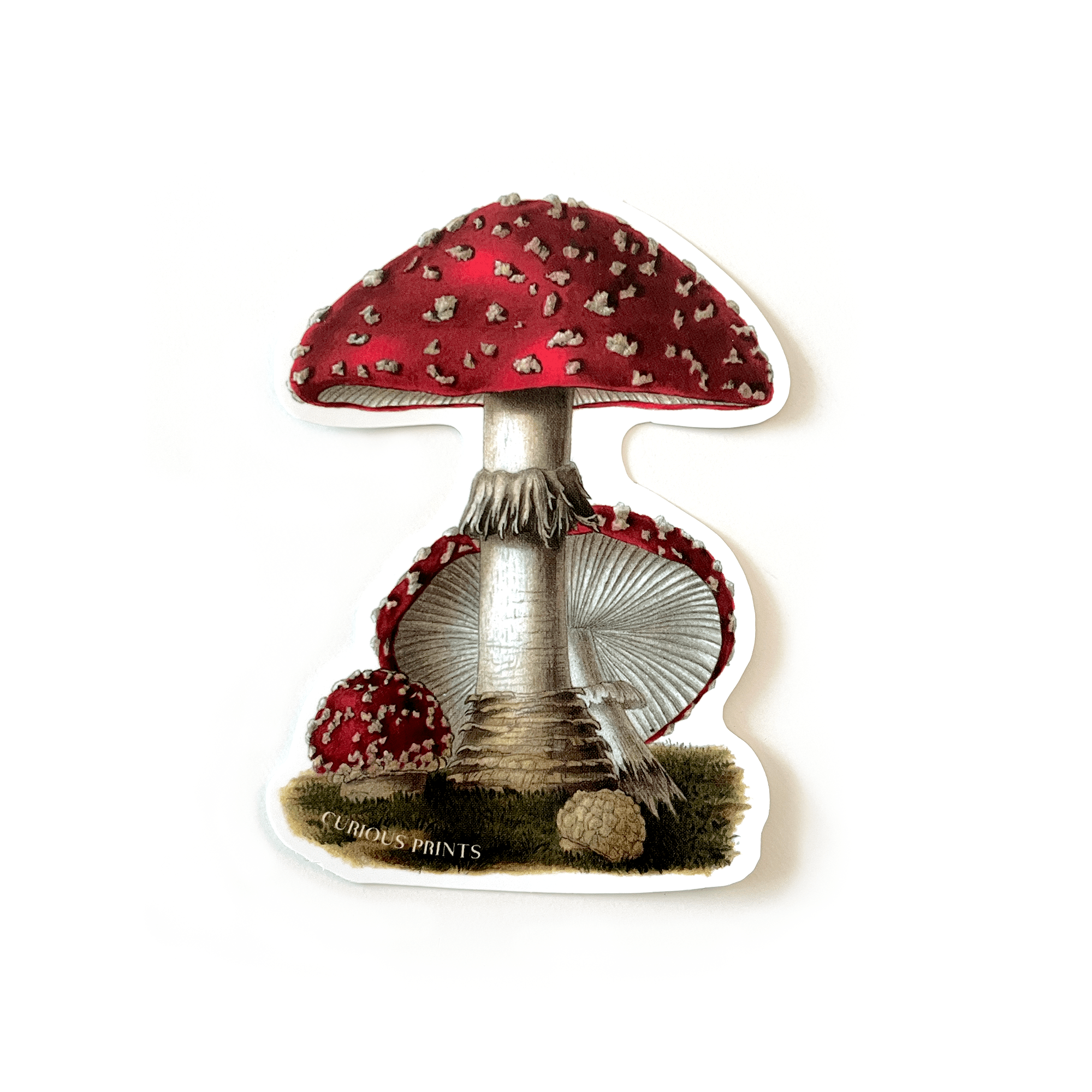 Vintage Magic Mushroom Waterproof Sticker - Out of the Blue