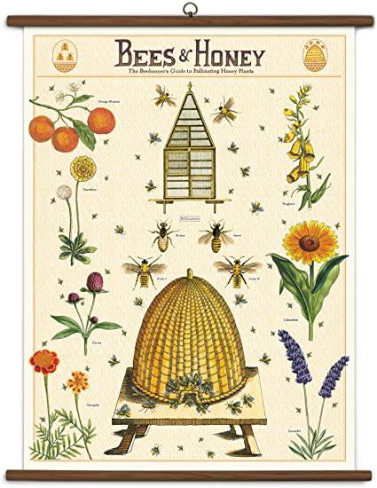 BEES & HONEY SCHOOL CHART - Out of the Blue