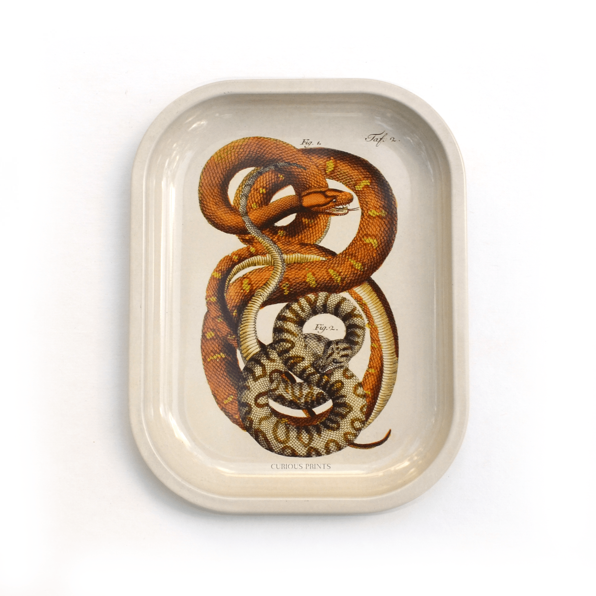 Small Metal Snake Ritual Tray / Vintage Print Rolling Tray - Out of the Blue
