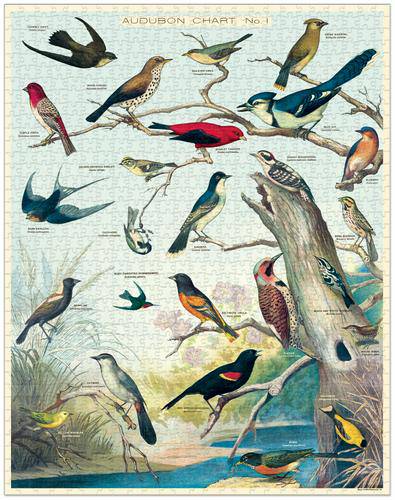 Audoban Bird Chart Puzzle - Out of the Blue
