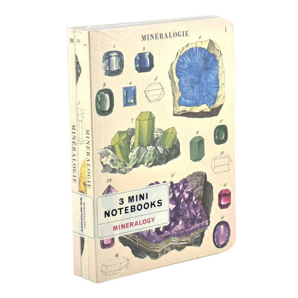 MINERALOGY MINI NOTEBOOK 3-PACK - Out of the Blue