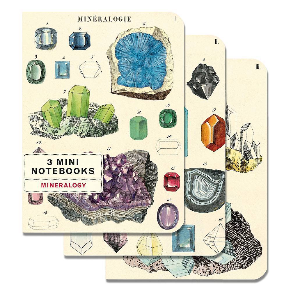 MINERALOGY MINI NOTEBOOK 3-PACK - Out of the Blue