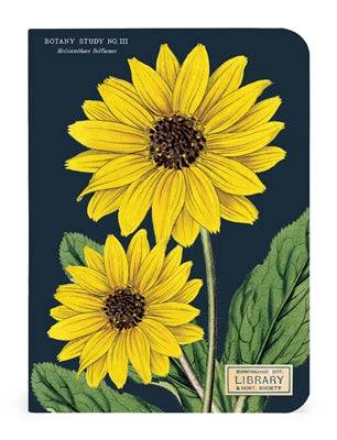 BOTANY NOTEBOOK 3-PACK - Out of the Blue