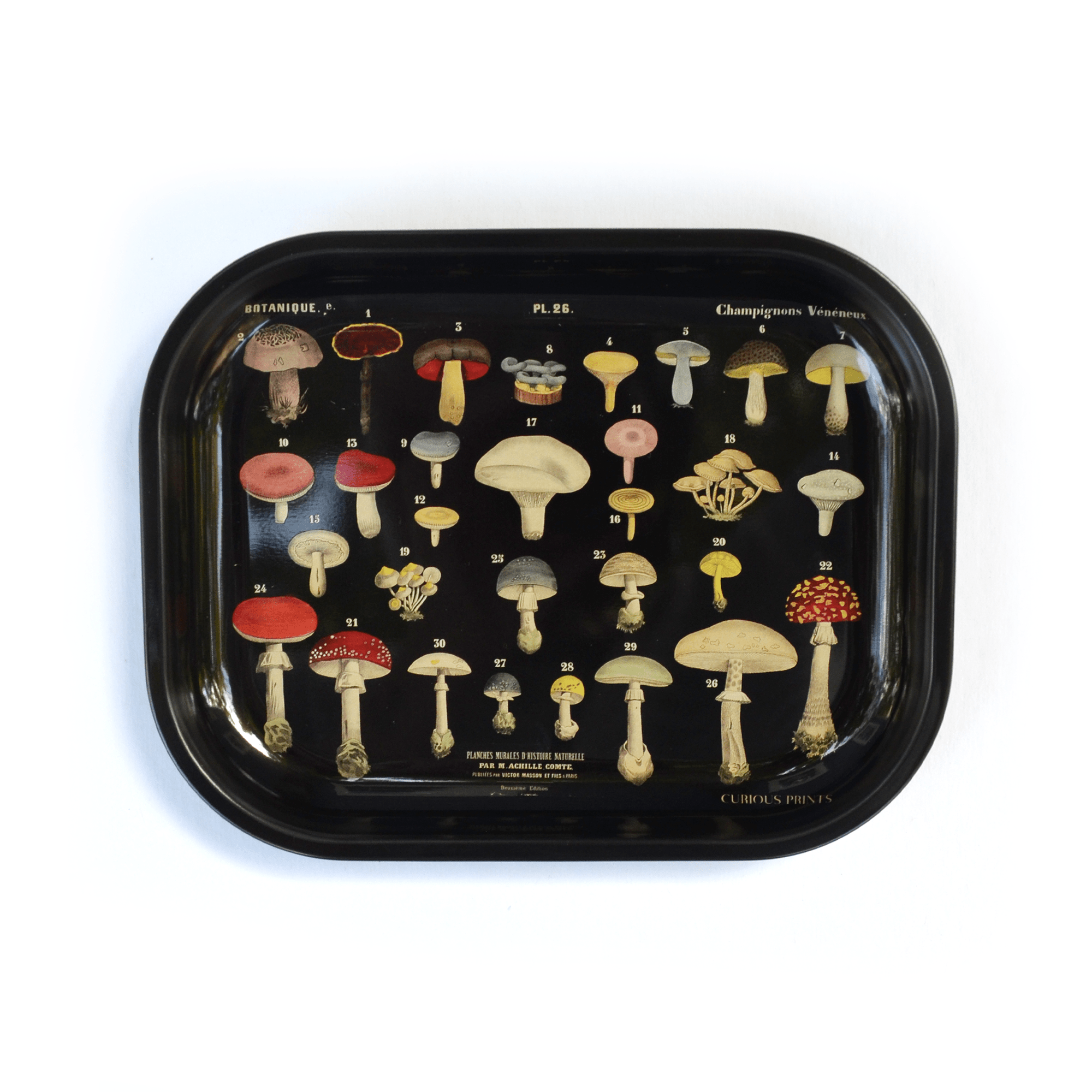 Small Metal Black Mushroom Ritual Tray / Vintage Fungi Print - Out of the Blue