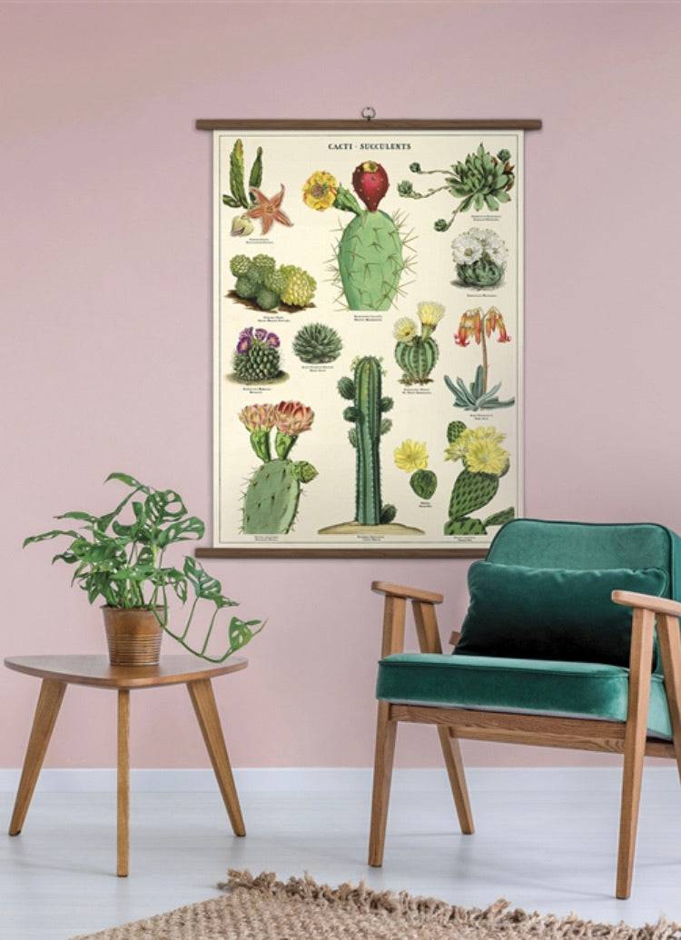 SUCCULENTS VINTAGE SCHOOL CHART - Out of the Blue